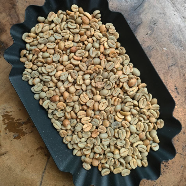 carbonic-maceration-natural-p88-aceh-gayo