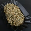 hermetic-sealed-natural-aceh-gayo